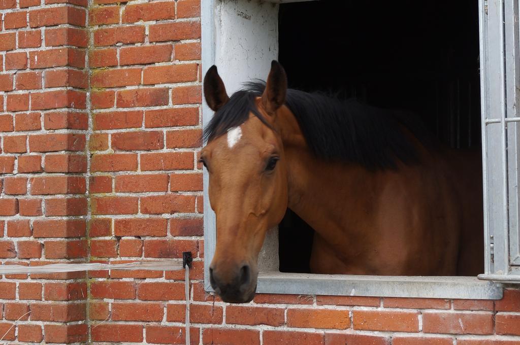 Ferienhof Seelust Gammendorf Luaran gambar