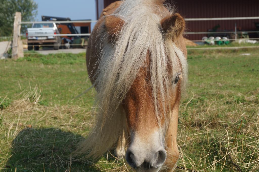 Ferienhof Seelust Gammendorf Luaran gambar